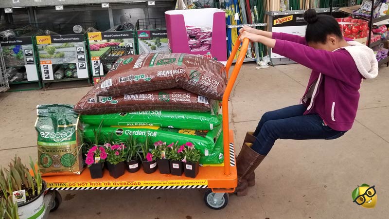 Girl pulling a cart with gardening supplies