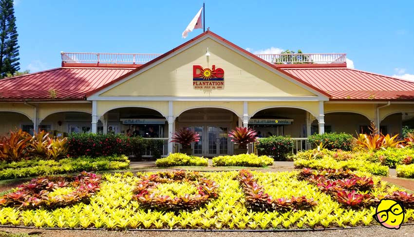 Picture of the main building at the Dole Plantation in Hawaii. The word Dole is spelled out in plants in the front. The building has a red roof and the Dole logo in the center of the roof.